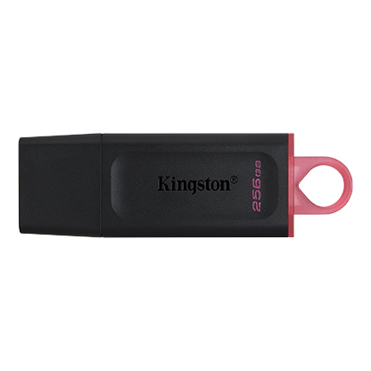 KINGSTON - UNIDAD FLASH USB DATATRAVELER EXODIA DE 256GB